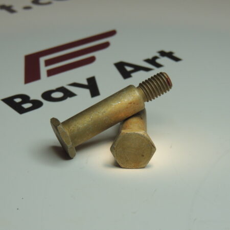 BOLT  LF880110130