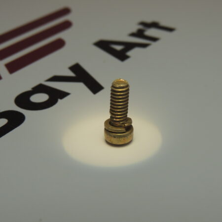 SCREW 10-157161